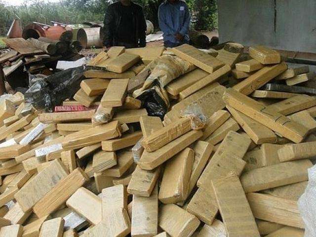 Pol&iacute;cia Civil destr&oacute;i 5,3 toneladas de maconha em incinera&ccedil;&atilde;o de drogas