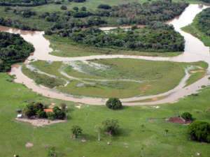  Por m&ecirc;s, cerca de mil processos de licenciamento ambiental ficam na fila em MS