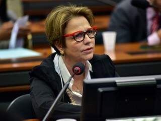 Deputada Tereza Cristina durante sessão na Câmara federal; ela foi reeleita (Foto: Zeca Ribeiro/Câmara dos Deputados)