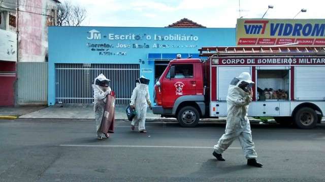 Fam&iacute;lia e at&eacute; cachorro s&atilde;o atacados por enxame de abelhas 