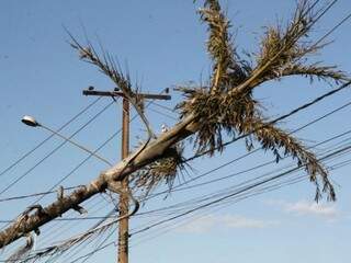 Queda de energia suspende atendimentos no Hospital Evangélico Queda de energia suspende atendimentos no Hospital Evangélico