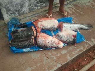 O servidor tentou vender o pescado ilegal para dois policiais (Foto: Divulgação)