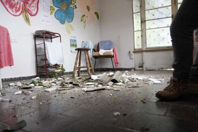 Ap&oacute;s 10 anos de pedidos por corte, mulher tem sal&atilde;o atingido por &aacute;rvore