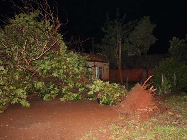 Temporal com ventos 65 km/h leva munic&iacute;pio a decretar emerg&ecirc;ncia