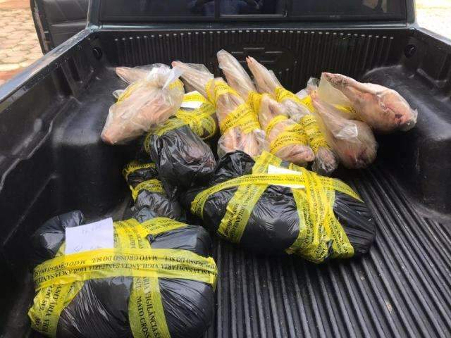 Pol&iacute;cia prende agente e fecha com&eacute;rcios que vendiam carne de gado roubado