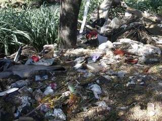 Lixo jogado às margens do rio Anhanduí. (Foto: Cleber Gellio) 