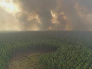 Incêndio em Ribas do Rio Pardo já havia consumido extensa área de vegetação ontem (Foto: Andrei Ruiz)