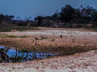 Depois do Arrombado Zé da Costa, leito do Taquari que seguia direto ao Rio Paraguai secou (Foto: Marcos Maluf)