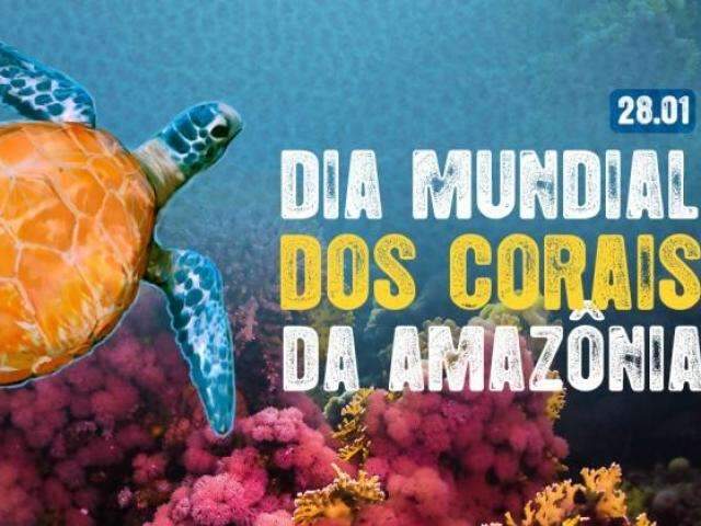 Greenpeace faz ato para celebrar Dia dos Corais da Amaz&ocirc;nia na Capital