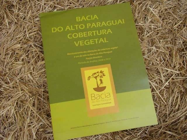 Estudo constata desmatamento de 60% nas &aacute;reas altas do Pantanal