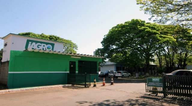 In&eacute;dito em MS, programa permite que produtores renegociem d&iacute;vidas com Iagro