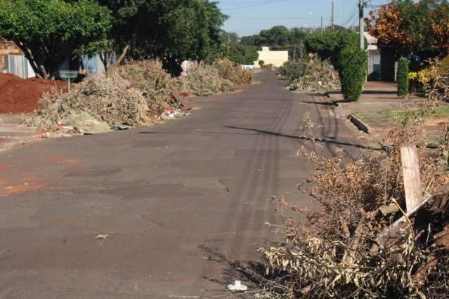 Moradores aproveitam mutir&atilde;o da Prefeitura e fazem faxina no quintal 