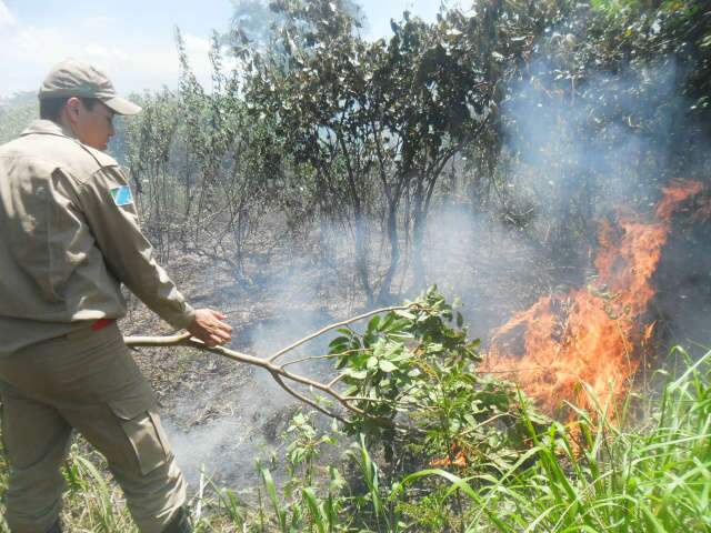  Inc&ecirc;ndio no Pantanal j&aacute; consumiu mais de 4 mil hectares