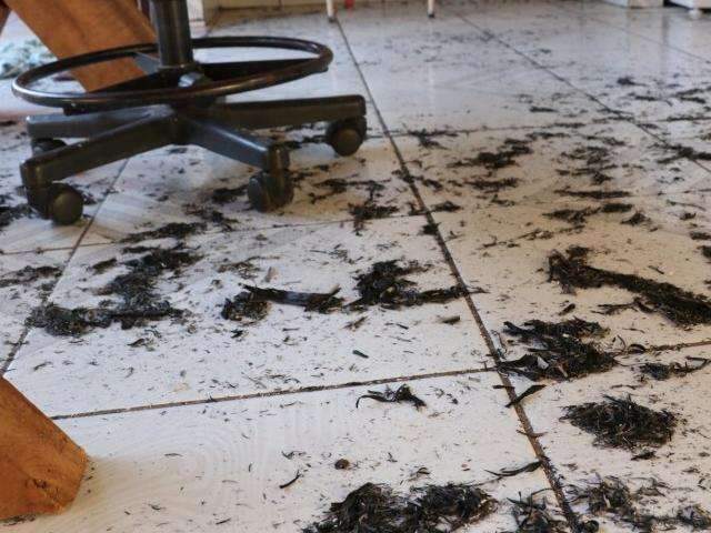 Fogo toma conta de terreno baldio e mobiliza moradores de condom&iacute;nio