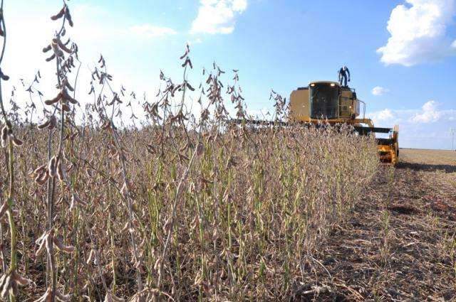 Safra 2012/2013 colocar&aacute; Brasil como l&iacute;der na produ&ccedil;&atilde;o e exporta&ccedil;&atilde;o de soja