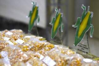 Agricultores interessados têm até o dia 20 de julho para enviar espiga grande e cheia de milho. (Foto: Divulgação)
