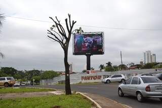Árvore foi podada e gerou comoção nos internautas de Campo Grande (Foto: Simão Nogueira)