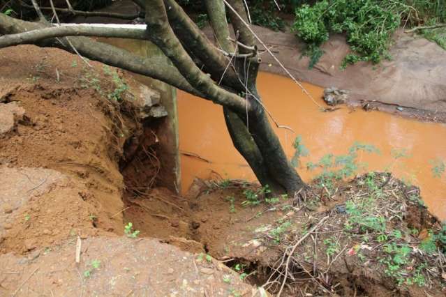Queda de &aacute;rvore interdita ponte em avenida do bairro Manoel Taveira