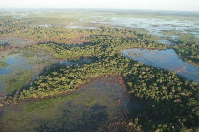 Governo cria comit&ecirc; estadual para conserva&ccedil;&atilde;o da regi&atilde;o do Pantanal