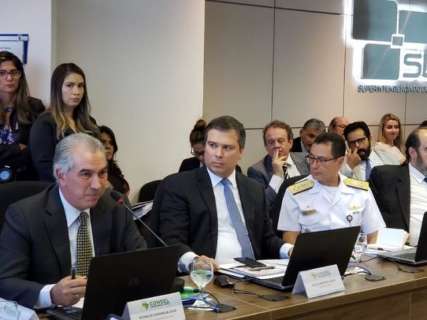 Financiamento para aquisi&ccedil;&atilde;o de su&iacute;nos pelo FCO &eacute; ampliado para 15 mil cabe&ccedil;as