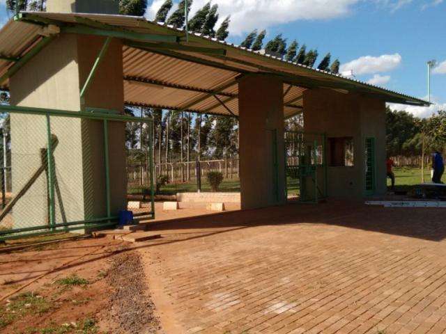 Governo contrata empresa para corrigir projeto "mal feito" da cadeia feminina