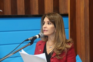Deputada estadual Antonieta Amorim (PMDB). (Foto: Arquivo)