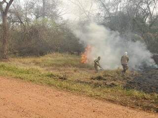 Bombeiros usando abafadores para combater as chamas na vegetação. (Foto: Direto das Ruas) 