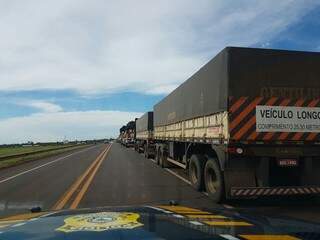Fila de caminhões no acostamento da BR-163 em Campo Grande (Foto: divulgação / PRF)