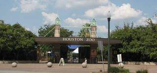Fachada do Houston Zoo, no Texas, que terá recinto específico para o bioma do Pantanal. (Foto: Divulgação/Roadtrippers.com)
