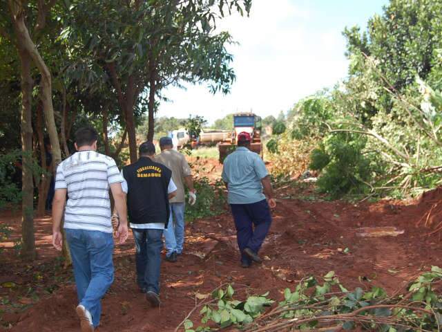  Prefeitura destr&oacute;i planta&ccedil;&atilde;o em &aacute;rea invadida para abrir ruas no Noroeste