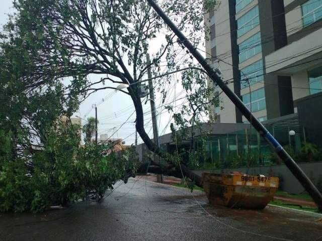 Chuva forte com raios atinge v&aacute;rias regi&otilde;es, derruba &aacute;rvores e alaga ruas 
