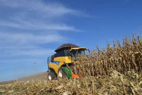 Com safra recorde de milho, produção de MS é avaliada em R$ 28,3 bilhões