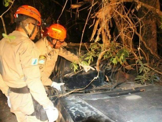 Menina que andou 1 km para pedir ajuda ap&oacute;s acidente est&aacute; com a tia 