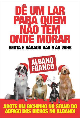  Adote um animal de estima&ccedil;&atilde;o e d&ecirc; um grande presente de Natal