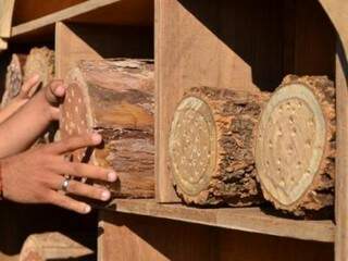 &quot;Hotel&quot; é feito em madeiras e visa preservar espécies (Foto: Divulgação/UFGD)