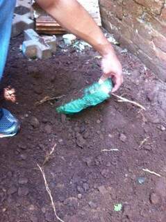 Tabletes de maconha estavam enterrados no quintal da casa (Foto: Divulgação/Defron)