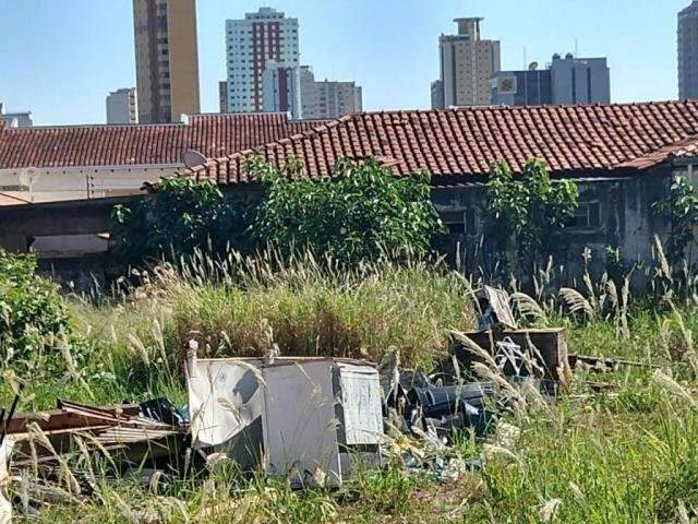 Apesar de epidemia da dengue, zika e chikungunya mant&ecirc;m &iacute;ndices de 2018