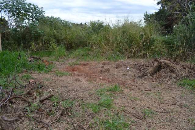 Fam&iacute;lia suspeita que briga por ci&uacute;mes motivou assassinato