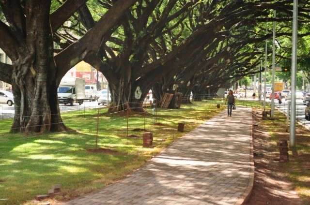 Prefeito far&aacute; novo decreto sobre tombamento da Avenida Afonso Pena