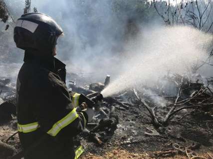 Em 12 horas, bombeiros registram 17 incêndios em vegetação na Capital