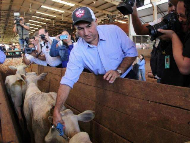 Governo lan&ccedil;a vacina&ccedil;&atilde;o contra aftosa com foco na regi&atilde;o de fronteira