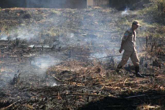 Focos de calor subiram 19% com quase 1 mil registrados no 1&ordm; semestre