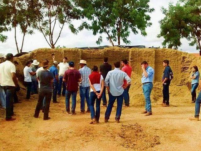 Aulas do projeto Escola de Pecu&aacute;ria Intensiva acontecem neste m&ecirc;s na Capital