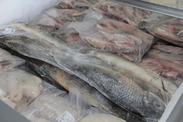 Para incentivar consumo, peixes est&atilde;o at&eacute; 20% mais baratos em mercados