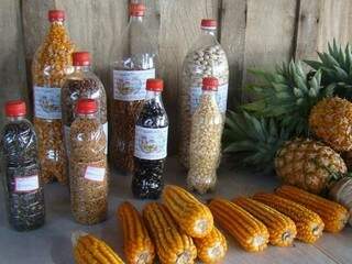 Alguns exemplos das sementes de espécies agrícolas crioulas (Foto Divulgação Embrapa)