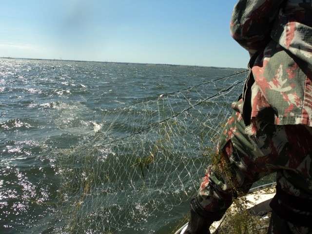 Em quatro dias, PMA recolhe 67 redes de pesca ilegais no rio Paran&aacute;