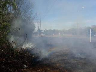 Chamas e fumaçavam estavam próximas à rodovia de acesso à cidade de Corumbá. (Foto: Corpo de Bombeiros/Divulgação)
