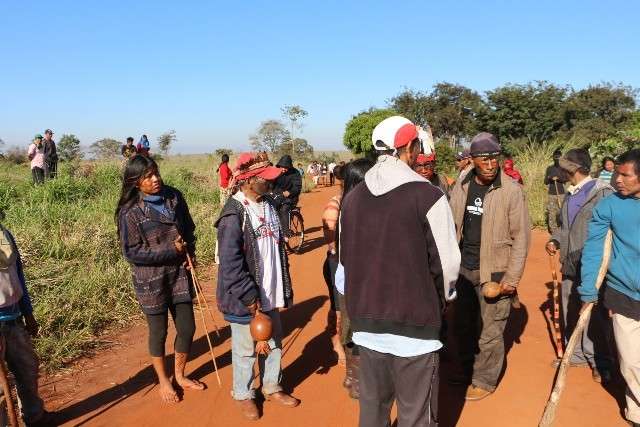 Com escolta da PM, bois s&atilde;o retirados, mas 11 &aacute;reas continuam ocupadas