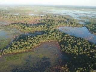 Pantanal de Mato Grosso do Sul (Foto: Famasul/Divulgação)