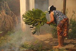 Dona de casa usou folhas para evitar que fogo invadisse sua casa. (Foto: Marcos Ermínio)
